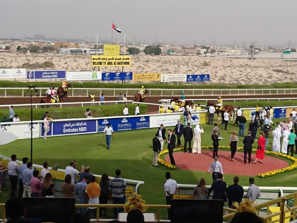News | Emirates Racing Authority